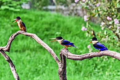 育碧很可能在开发《荣耀战魂》续作